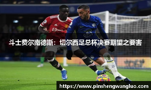 斗士费尔南德斯：切尔西足总杯决赛期望之要害